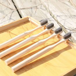 Castor oil charcoal bamboo toothbrush supplier wholesale & competitive price 100% natural and biodegradable 